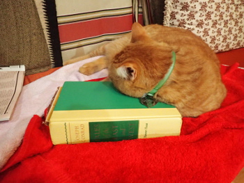 Fuzzknuckle, the cat, with Joseph Conrad Tales