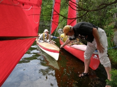 Some Bufflehead sailing canoes