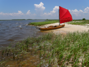 Sailing Canoe Bufflehead, salt marsh