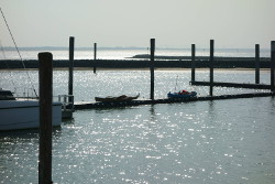 Bufflehead Segelkanu und Solway Dory Egret auf dem Steg