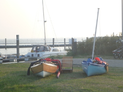 Bufflehead und Solway Dory Egret