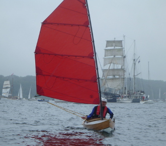 Bufflehead und Windjammer auf der Kieler Förde