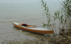 Sailing Canoe Bufflehead