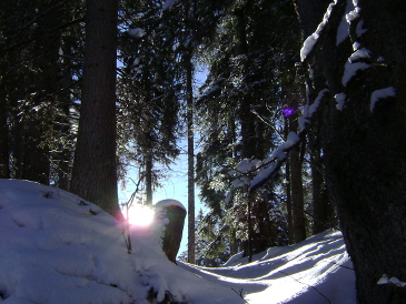 Winterwanderung