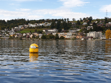 Borromäische Insel